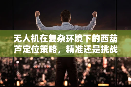 无人机在复杂环境下的西葫芦定位策略，精准还是挑战？