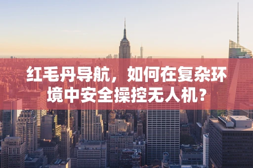 红毛丹导航，如何在复杂环境中安全操控无人机？