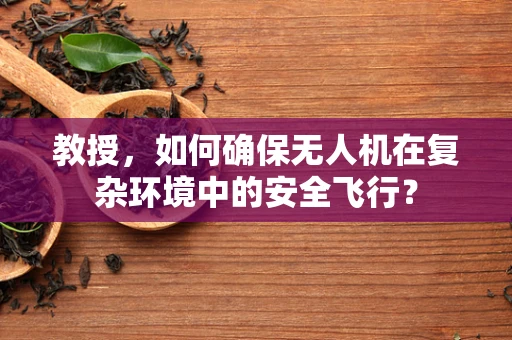 教授，如何确保无人机在复杂环境中的安全飞行？