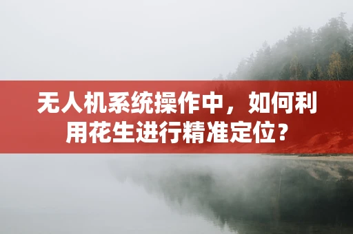 无人机系统操作中，如何利用花生进行精准定位？
