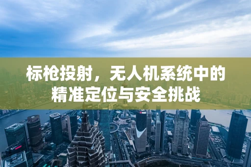 标枪投射，无人机系统中的精准定位与安全挑战