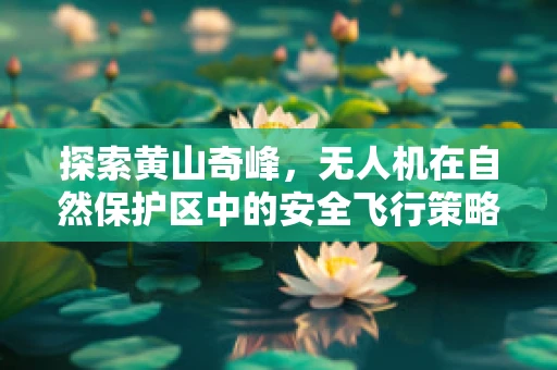 探索黄山奇峰，无人机在自然保护区中的安全飞行策略