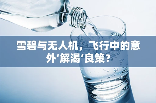 雪碧与无人机，飞行中的意外‘解渴’良策？