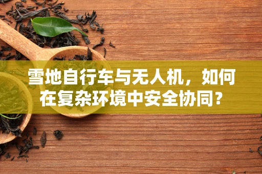 雪地自行车与无人机，如何在复杂环境中安全协同？