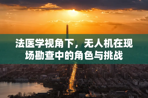 法医学视角下，无人机在现场勘查中的角色与挑战