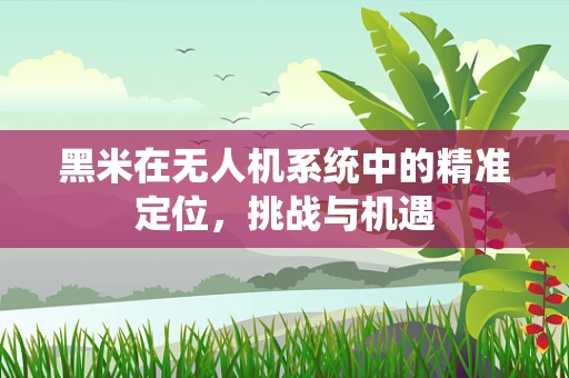 黑米在无人机系统中的精准定位，挑战与机遇