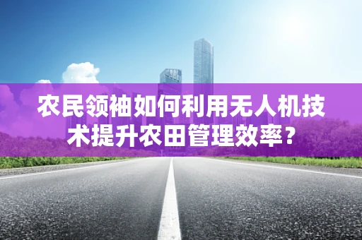 农民领袖如何利用无人机技术提升农田管理效率？