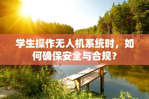 学生操作无人机系统时，如何确保安全与合规？