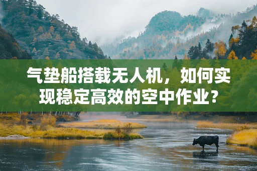 气垫船搭载无人机，如何实现稳定高效的空中作业？