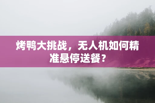 烤鸭大挑战，无人机如何精准悬停送餐？