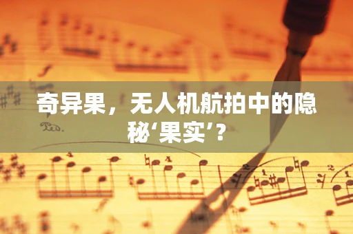 奇异果，无人机航拍中的隐秘‘果实’？