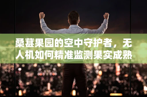 桑葚果园的空中守护者，无人机如何精准监测果实成熟度？