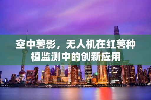 空中薯影，无人机在红薯种植监测中的创新应用