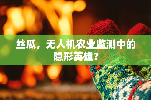 丝瓜，无人机农业监测中的隐形英雄？