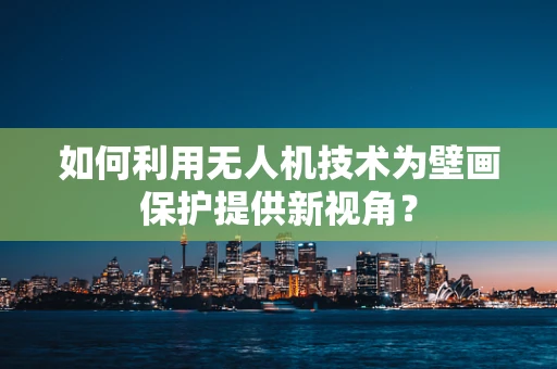如何利用无人机技术为壁画保护提供新视角？