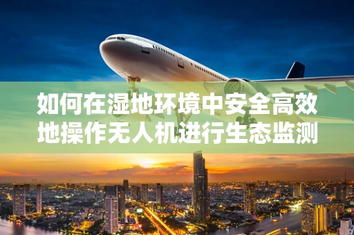 如何在湿地环境中安全高效地操作无人机进行生态监测？