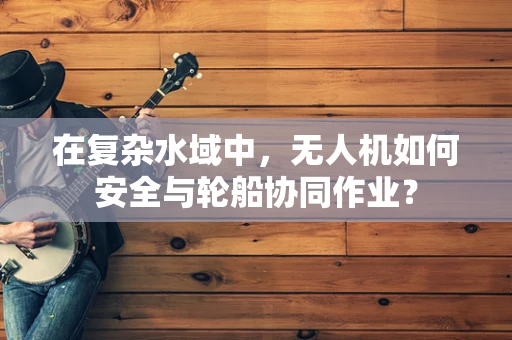 在复杂水域中，无人机如何安全与轮船协同作业？