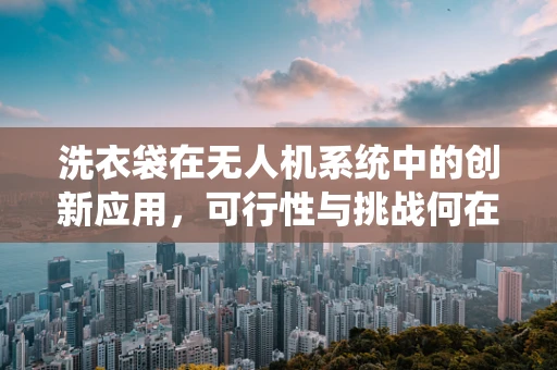 洗衣袋在无人机系统中的创新应用，可行性与挑战何在？