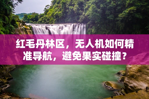 红毛丹林区，无人机如何精准导航，避免果实碰撞？