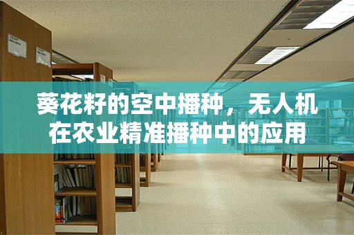 葵花籽的空中播种，无人机在农业精准播种中的应用