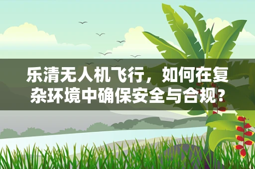 乐清无人机飞行，如何在复杂环境中确保安全与合规？