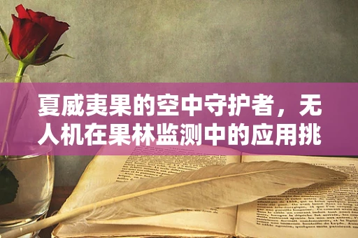 夏威夷果的空中守护者，无人机在果林监测中的应用挑战