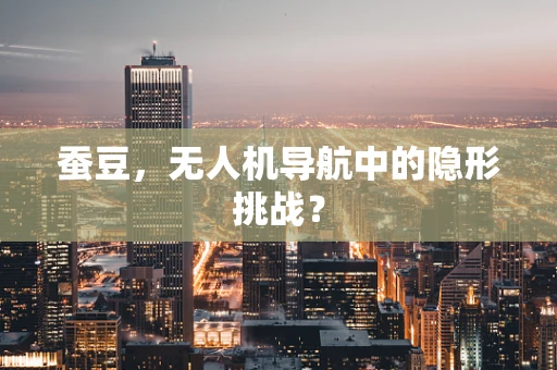 蚕豆，无人机导航中的隐形挑战？