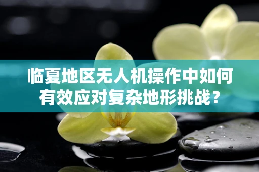 临夏地区无人机操作中如何有效应对复杂地形挑战？