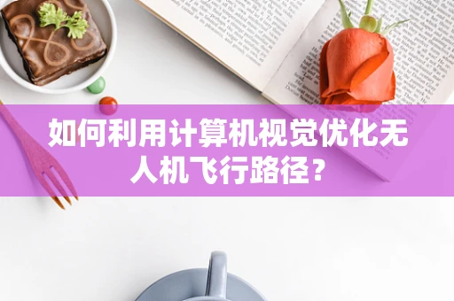 如何利用计算机视觉优化无人机飞行路径？