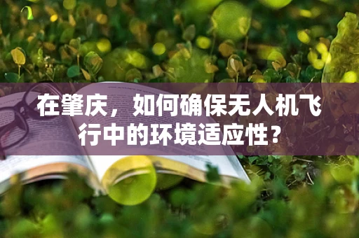 在肇庆，如何确保无人机飞行中的环境适应性？