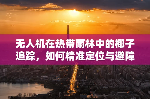 无人机在热带雨林中的椰子追踪，如何精准定位与避障？