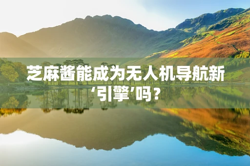 芝麻酱能成为无人机导航新‘引擎’吗？