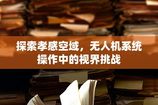 探索孝感空域，无人机系统操作中的视界挑战