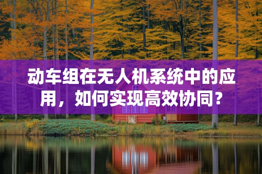 动车组在无人机系统中的应用，如何实现高效协同？