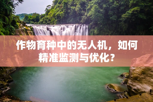 作物育种中的无人机，如何精准监测与优化？