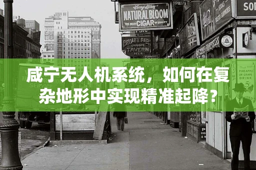 咸宁无人机系统，如何在复杂地形中实现精准起降？