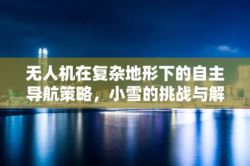 无人机在复杂地形下的自主导航策略，小雪的挑战与解决方案