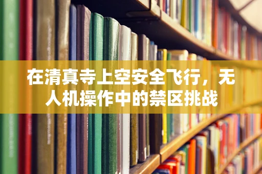 在清真寺上空安全飞行，无人机操作中的禁区挑战