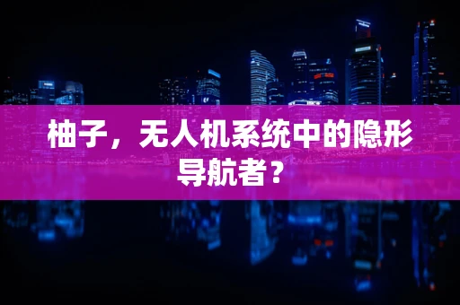 柚子，无人机系统中的隐形导航者？