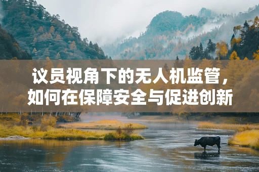 议员视角下的无人机监管，如何在保障安全与促进创新间找到平衡？