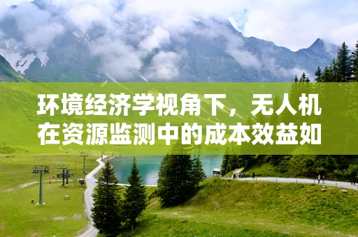 环境经济学视角下，无人机在资源监测中的成本效益如何平衡？