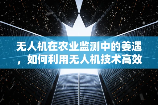 无人机在农业监测中的姜遇，如何利用无人机技术高效监测生姜田？