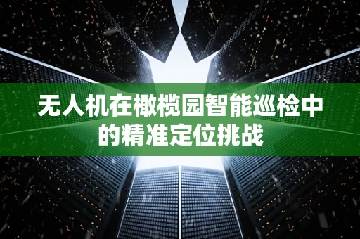无人机在橄榄园智能巡检中的精准定位挑战