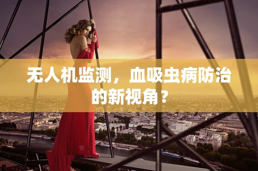 无人机监测，血吸虫病防治的新视角？