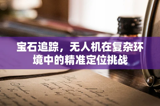 宝石追踪，无人机在复杂环境中的精准定位挑战