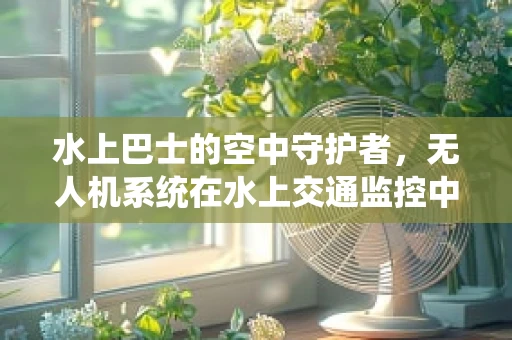 水上巴士的空中守护者，无人机系统在水上交通监控中的应用与挑战