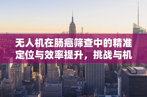 无人机在肠癌筛查中的精准定位与效率提升，挑战与机遇