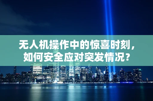 无人机操作中的惊喜时刻，如何安全应对突发情况？