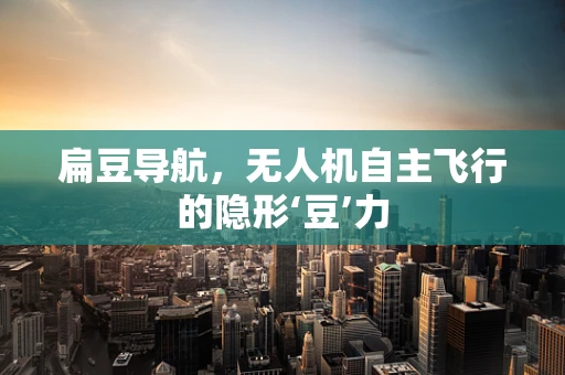 扁豆导航，无人机自主飞行的隐形‘豆’力