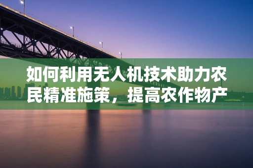 如何利用无人机技术助力农民精准施策，提高农作物产量？